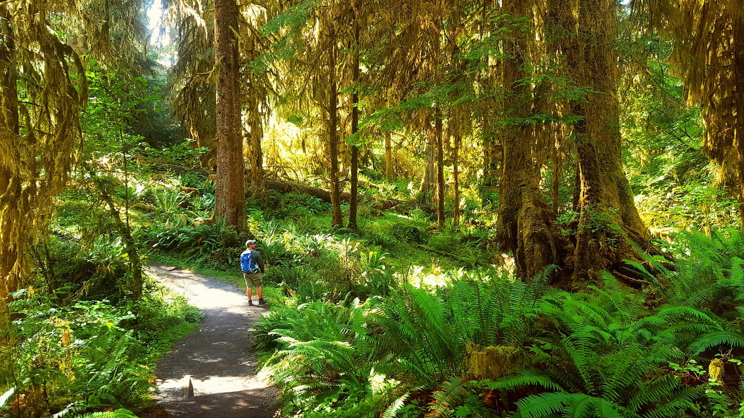 Top 10 Day Hikes on the Olympic Peninsula | The Olympic Peninsula
