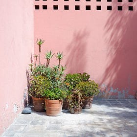 My Monster Guide to CDMX