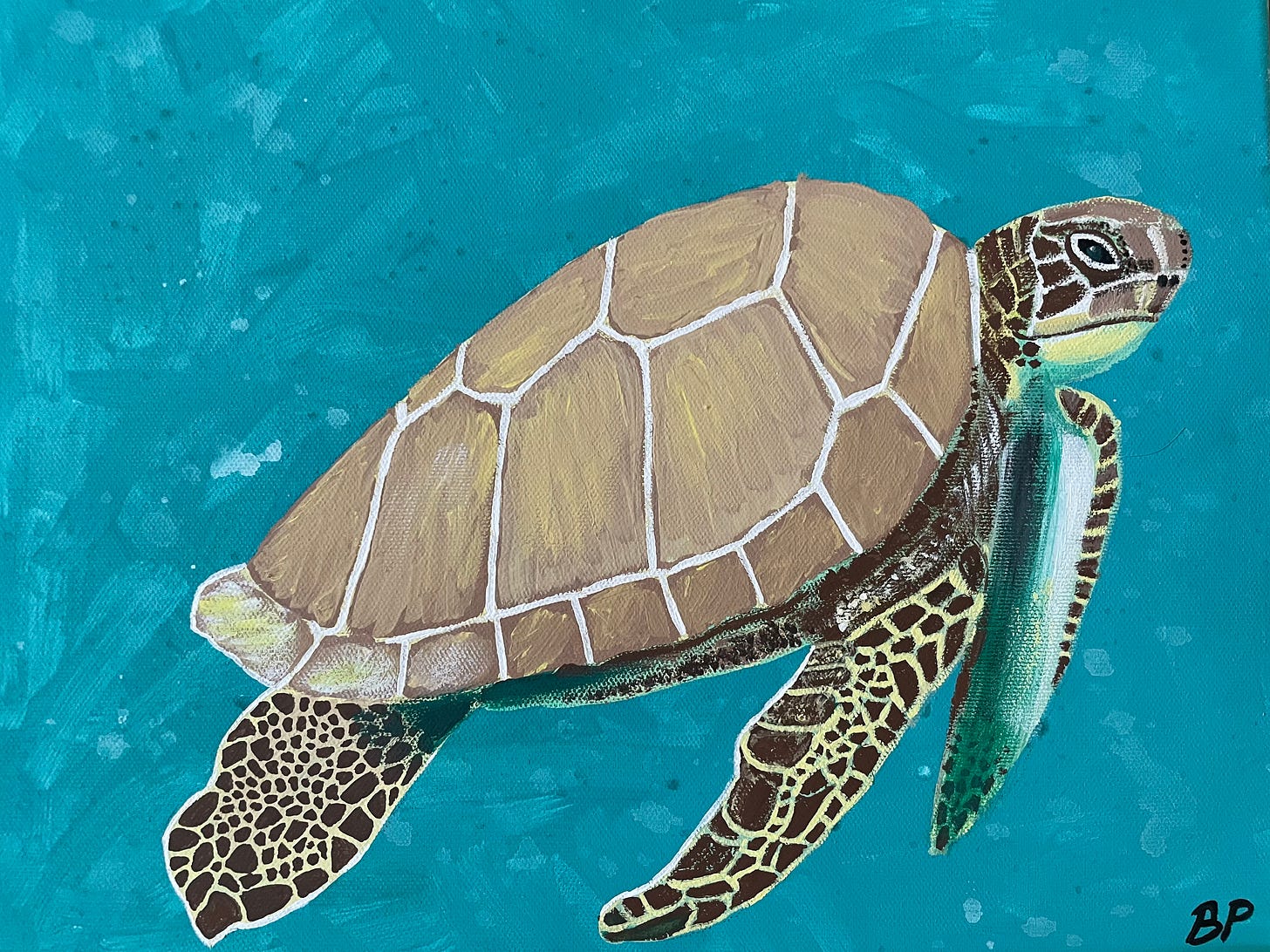 An acrylic painting of a sea turtle. The background is blue, while the turtle is shades of brown, white, and green. An acrylic painting of a sea turtle. The background is blue, while the turtle is shades of brown, white, and green.