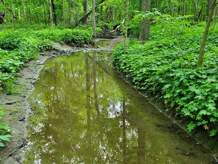 Chain O’ Lakes State Park