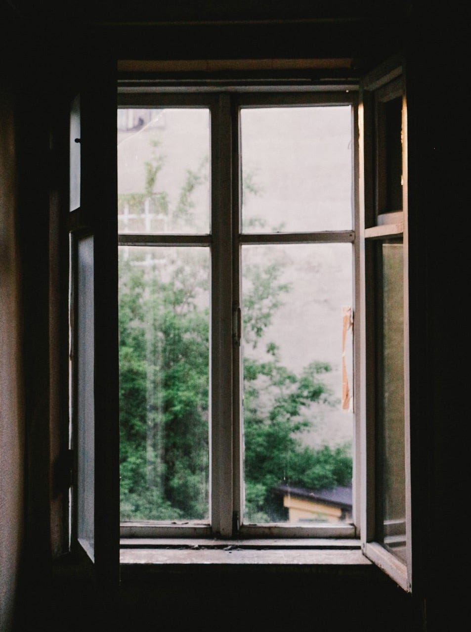 open casement window near plants