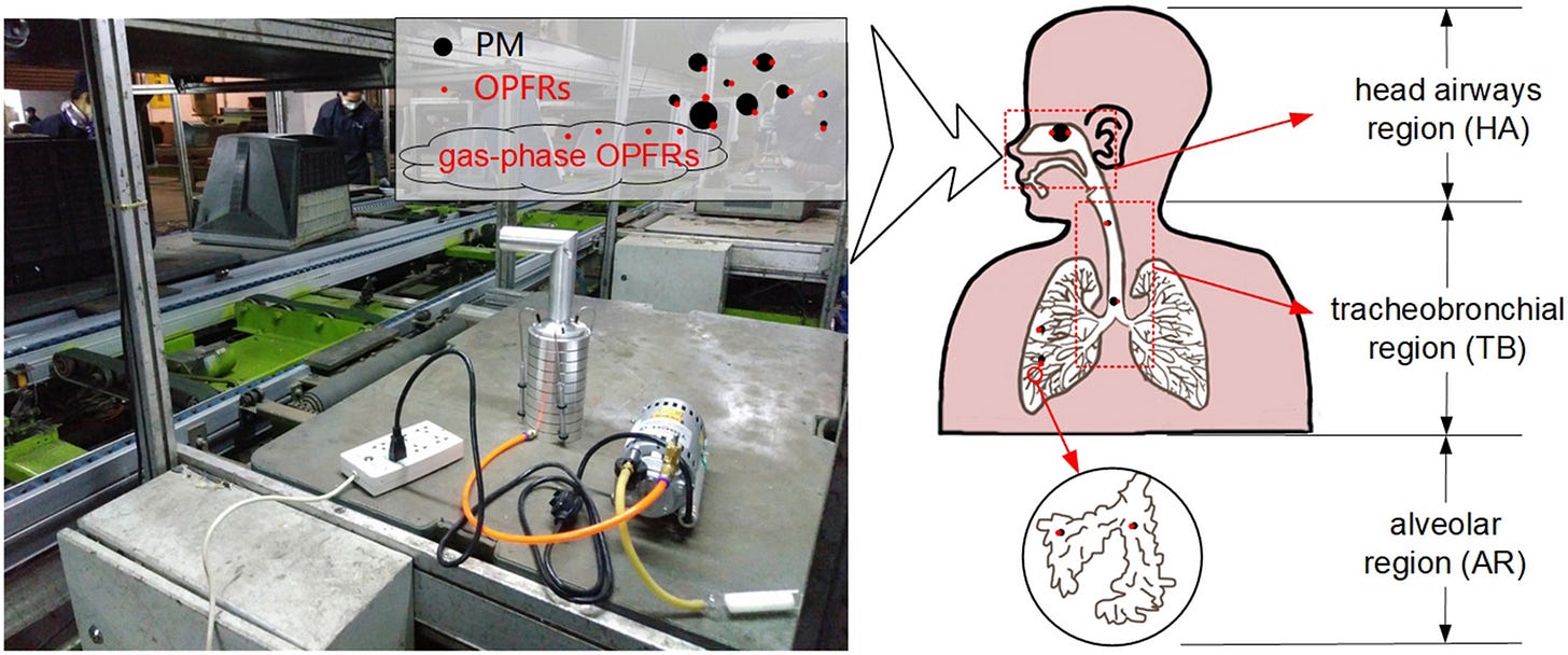 Illustration of OPFR's entering the body and reaching the lungs. Illustration of OPFR's entering the body and reaching the lungs.