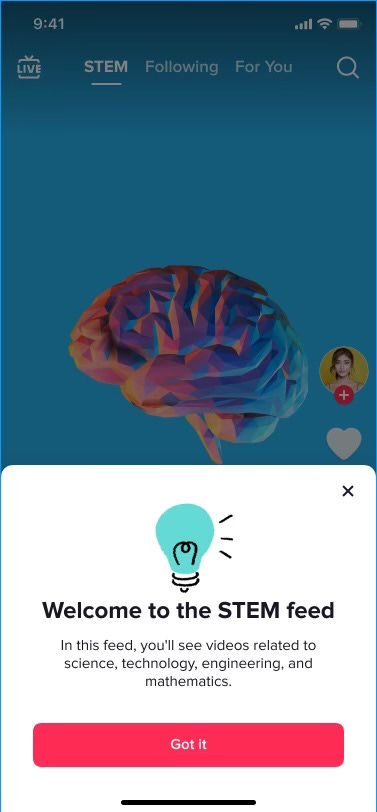 The new TikTok Stem feed The new TikTok Stem feed