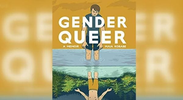 The book 'Gender Queer,' about a gender-confused girl who hates her female anatomy, is among the sexually explicit and radically pro-trans books that have outraged parents across the nation (Video screenshot) The book 'Gender Queer,' about a gender-confused girl who hates her female anatomy, is among the sexually explicit and radically pro-trans books that have outraged parents across the nation (Video screenshot)