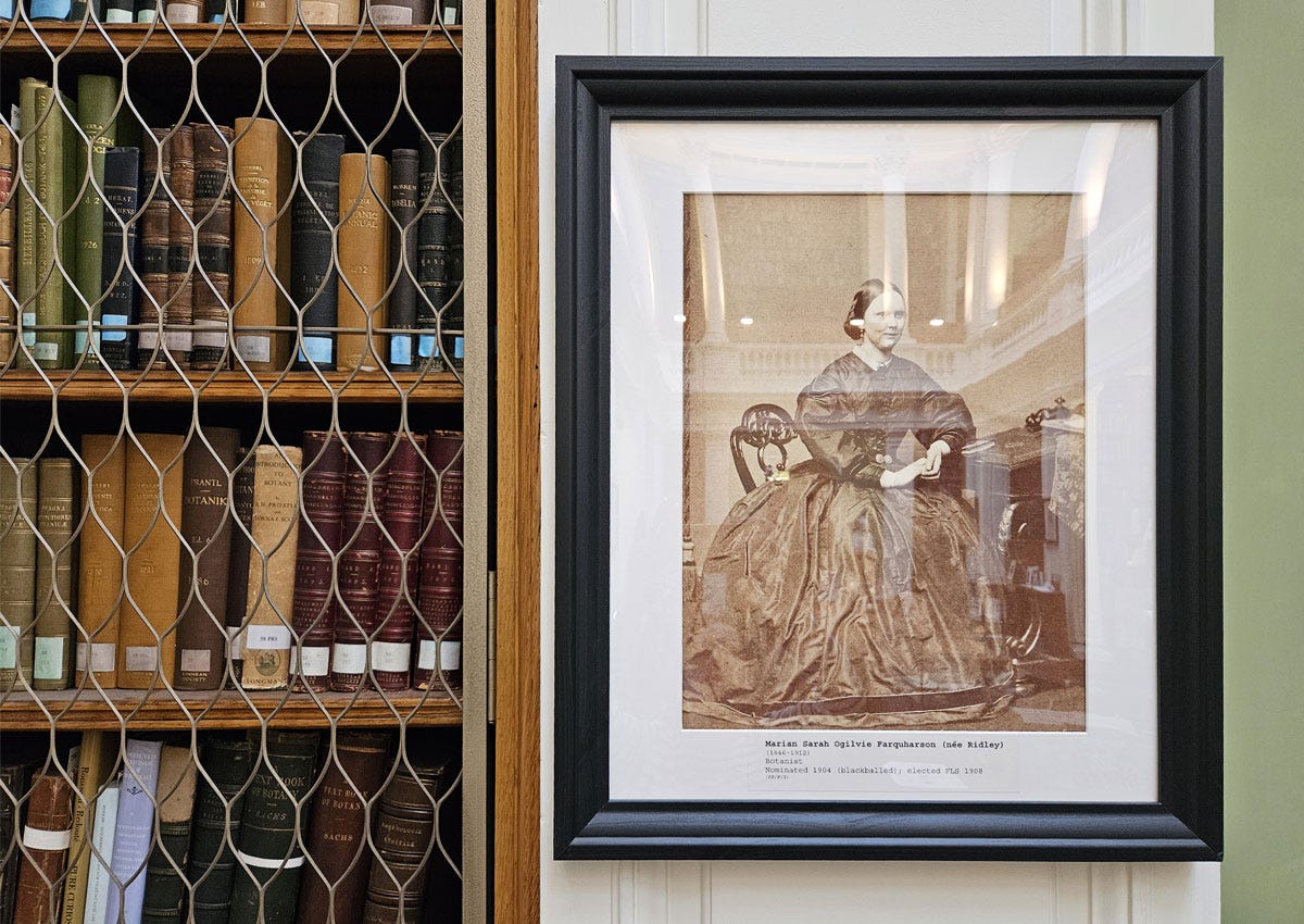 A framed portrait of a women hung on a wall alongisde a shelf full of books