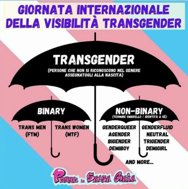 L'Eco di QueerTown: TDoV 2021: la nostra visibilità è rivoluzione