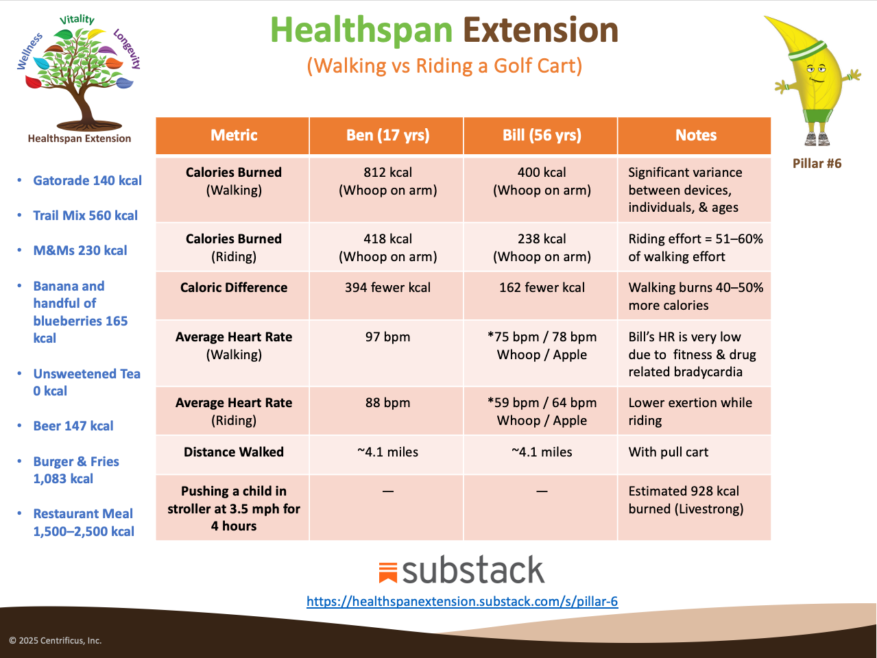 A comparison chart titled “Healthspan Extension (Walking vs Riding a Golf Cart)” summarizing key metrics from a father-son study conducted by Ben (17 years old) and Bill (56 years old). The chart compares walking and riding golf rounds using Whoop data, highlighting differences in calories burned, heart rate, and distance walked.  Calories Burned (Walking): Ben burned 812 kcal; Bill burned 400 kcal. Calories Burned (Riding): Ben burned 418 kcal; Bill burned 238 kcal. Caloric Difference: Walking burned 394 more kcal for Ben and 162 more kcal for Bill. Average Heart Rate (Walking): Ben’s HR was 97 bpm; Bill’s was 75 bpm (Whoop) and 78 bpm (Apple Watch). Average Heart Rate (Riding): Ben’s HR was 88 bpm; Bill’s was 59 bpm (Whoop) and 64 bpm (Apple Watch). Distance Walked: Both walked approximately 4.1 miles using a pull cart. Reference Comparison: Estimated 928 kcal burned when pushing a stroller at 3.5 mph for 4 hours (Livestrong). The chart notes significant variance between devices and individuals, and highlights Bill’s unusually low heart rate due to fitness and bradycardia. A link to the Healthspan Extension Substack is included at the bottom.