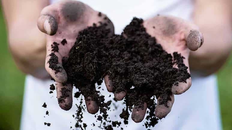 health benefits of getting dirty