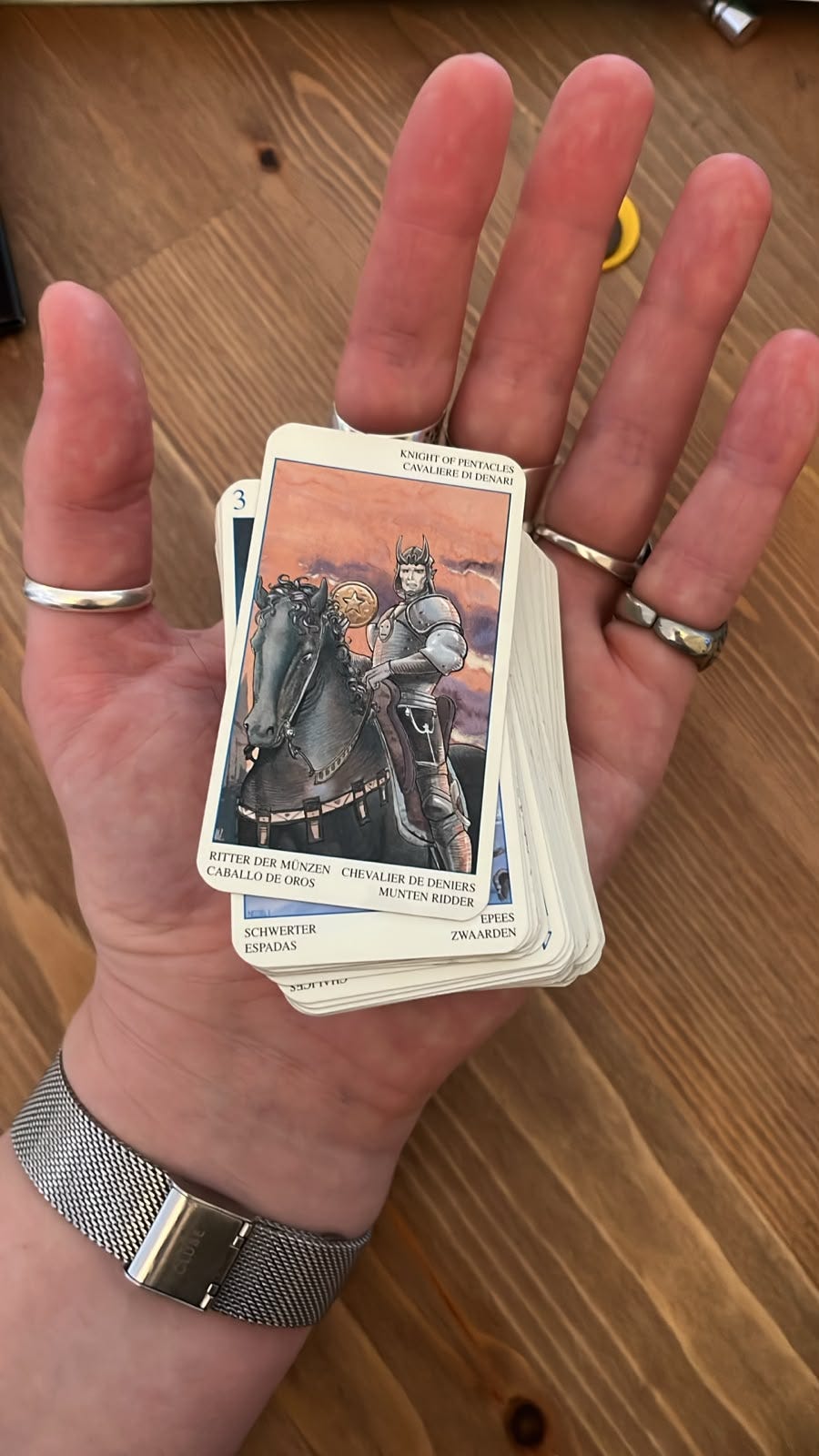 A ringed hand holds a tarot deck with the Knight of Pentacles face up, showing an armoured rider carrying a pentacle on a black horse. A ringed hand holds a tarot deck with the Knight of Pentacles face up, showing an armoured rider carrying a pentacle on a black horse.