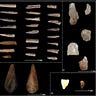 Anthropology.net