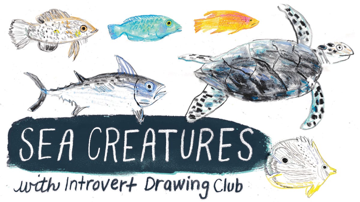 sea creatures with Introvert Drawing Club sea creatures with Introvert Drawing Club