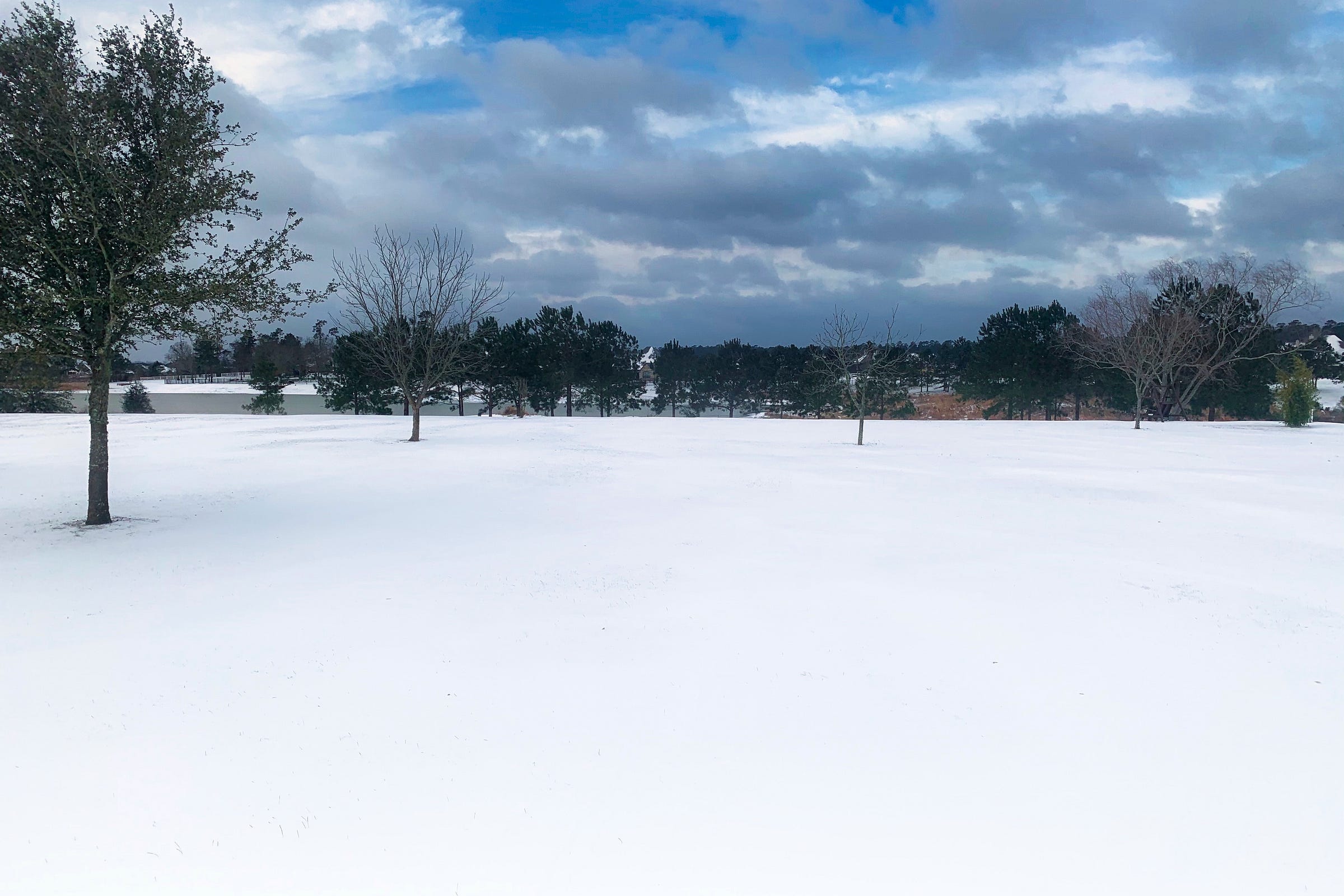 Snowy landscape with a tree on the left and grey and white fluffy clouds against a blue sky