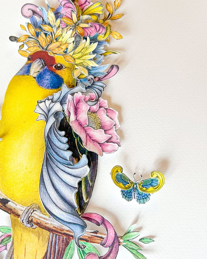 A gallery of details of mixed media vintage illustrations collaged with fineliner drawings by Georgie St Clair