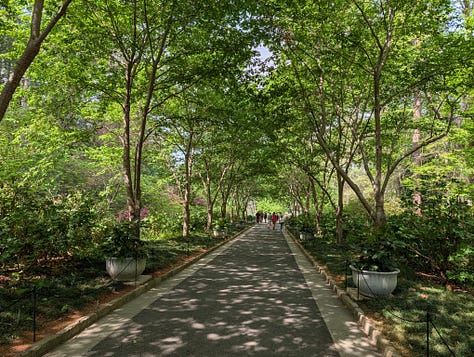 Sarah P Duke Gardens Duke University