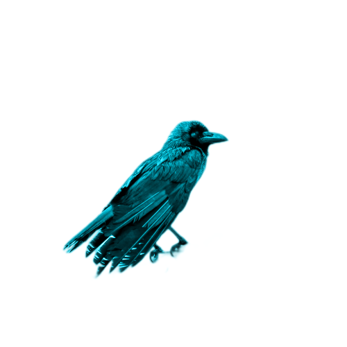 Home Ed Resources Newsletter