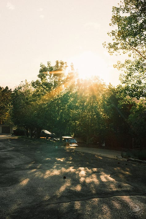 Fuji photographs of life in Montana by Tyler Knott Gregson