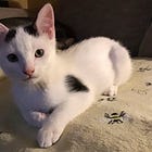 It Doesn't Seem Like The *Best* Day To Celebrate National Ice Cream Day