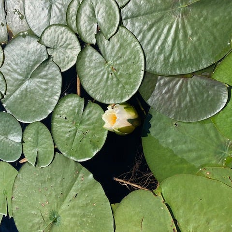 Love Is Never Wasted