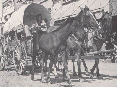 A horse drawn carriage with horses

AI-generated content may be incorrect.