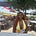 Kayla Grant's avatar