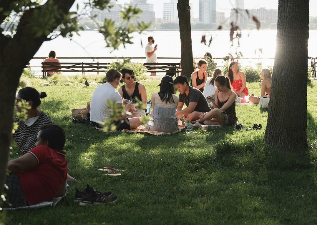 people sitting on green grass field near green trees during daytime
