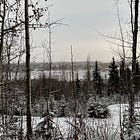 The FNSB Climate Action Plan is Being Dismantled In Real Time: a History of Climate Action in the FNSB and How to Help