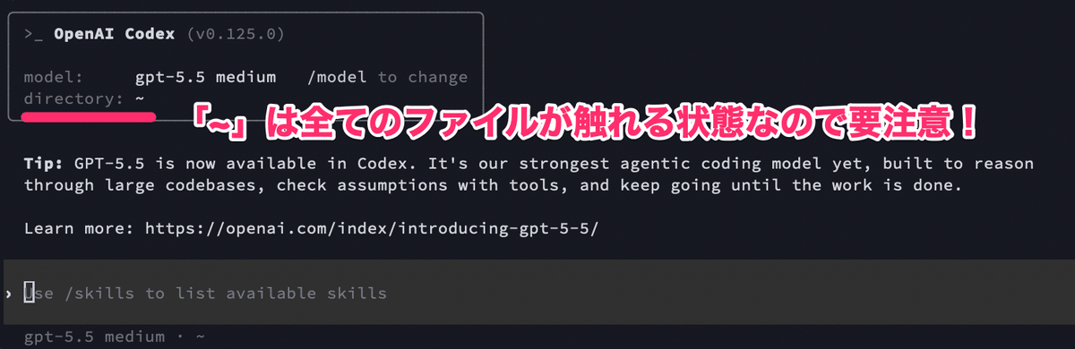 Codexのセットアップ方法を徹底的に解説！ - by むなかた総理 - ゼロ