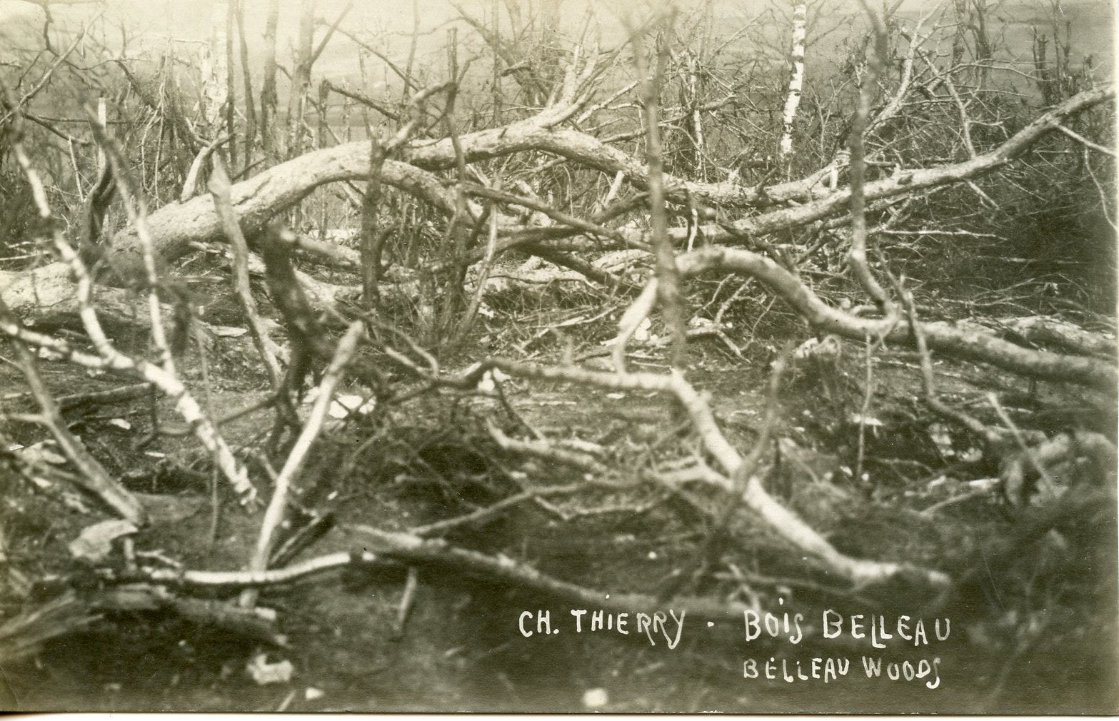The Battle of Belleau Wood and the 1918 Rose Bowl