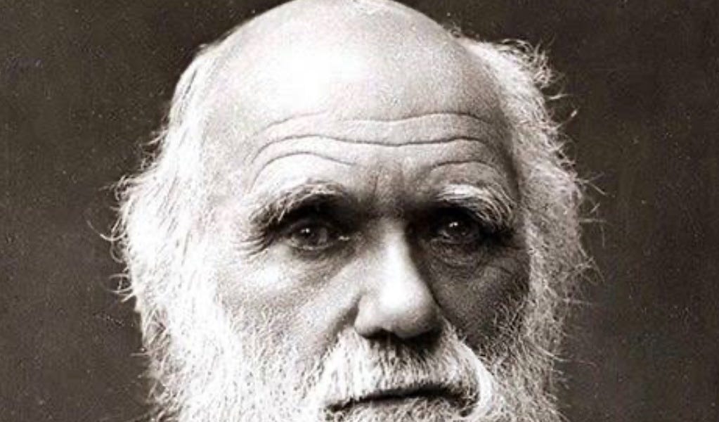 &ldquo;&hellip;the old argument of design in nature&hellip;fails&hellip;&rdquo;