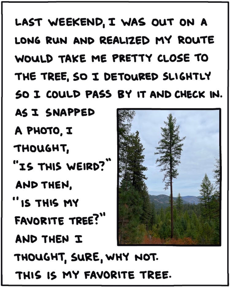 Last weekend, I was on out on a long run and realized my route would take me pretty close to the tree, so I detoured slightly to pass by it and check in. As I snapped a photo, I thought, “Is this weird?” and then, “Is this my favorite tree?” And then I thought, sure, why not. This is my favorite tree. 