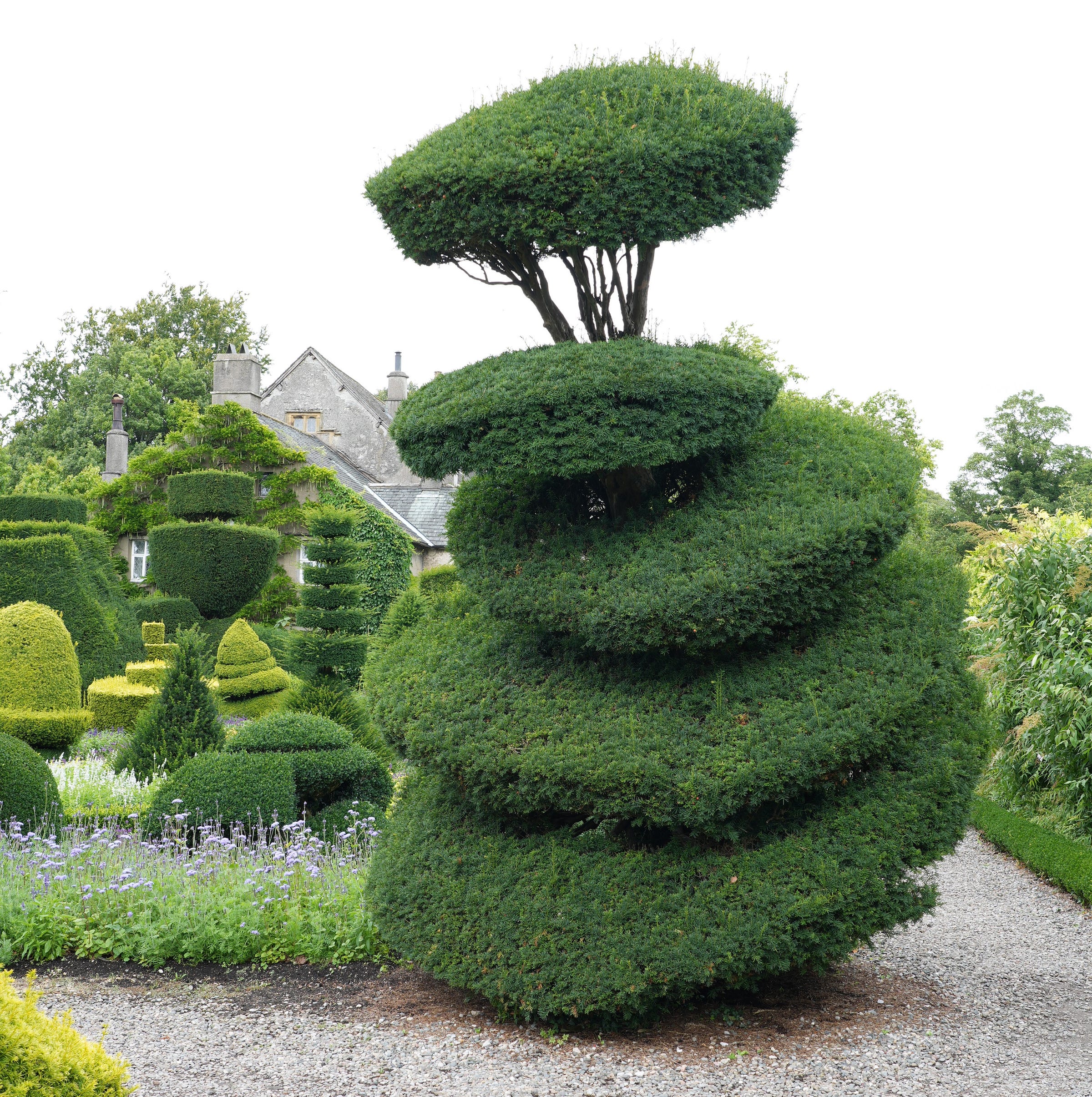 Levens Hall garden topiary