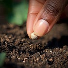 Day 10: Reconnect with Nature