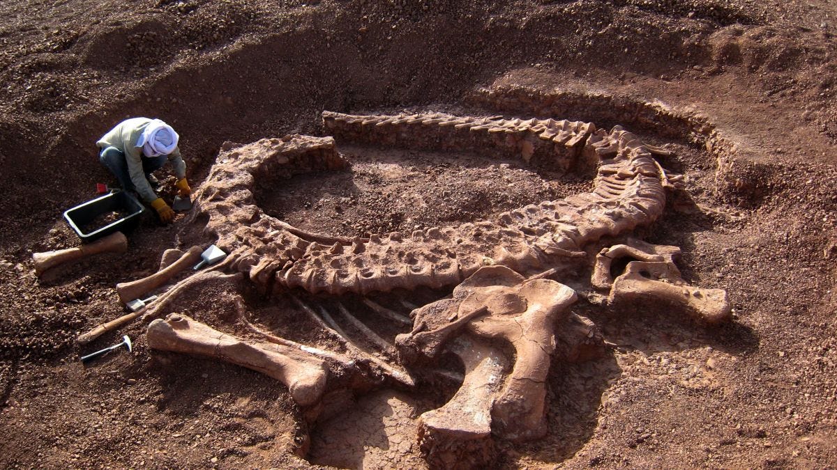 Want to Join a Dinosaur Dig this Summer? You Can! Want to Join a Dinosaur Dig this Summer? You Can!