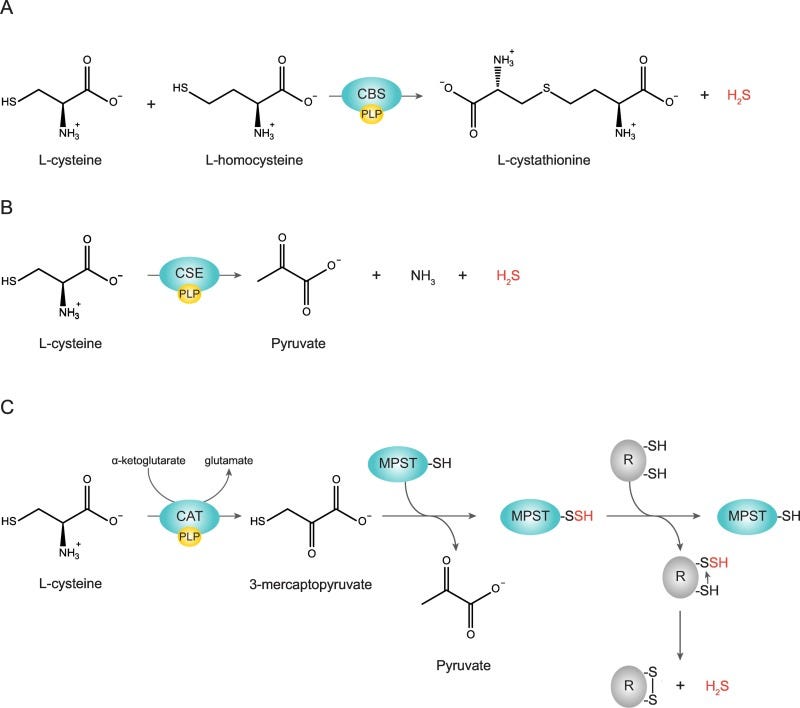 Fig. 4 Fig. 4