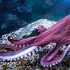 Broken Heart Syndrome