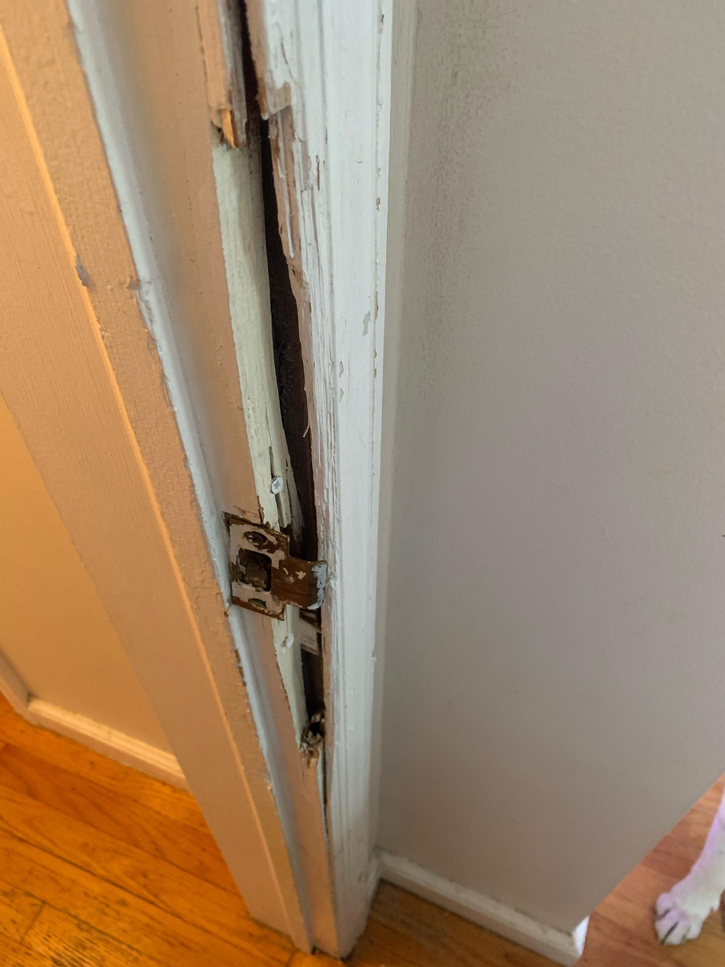 So brother in law broke down door because he accidentally locked it and  needed to get back in. Can I cut out the broken pieces and replace it with  the same thickness