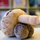 E.V.R.A.S. en Belgique | « Parents en colère » en France