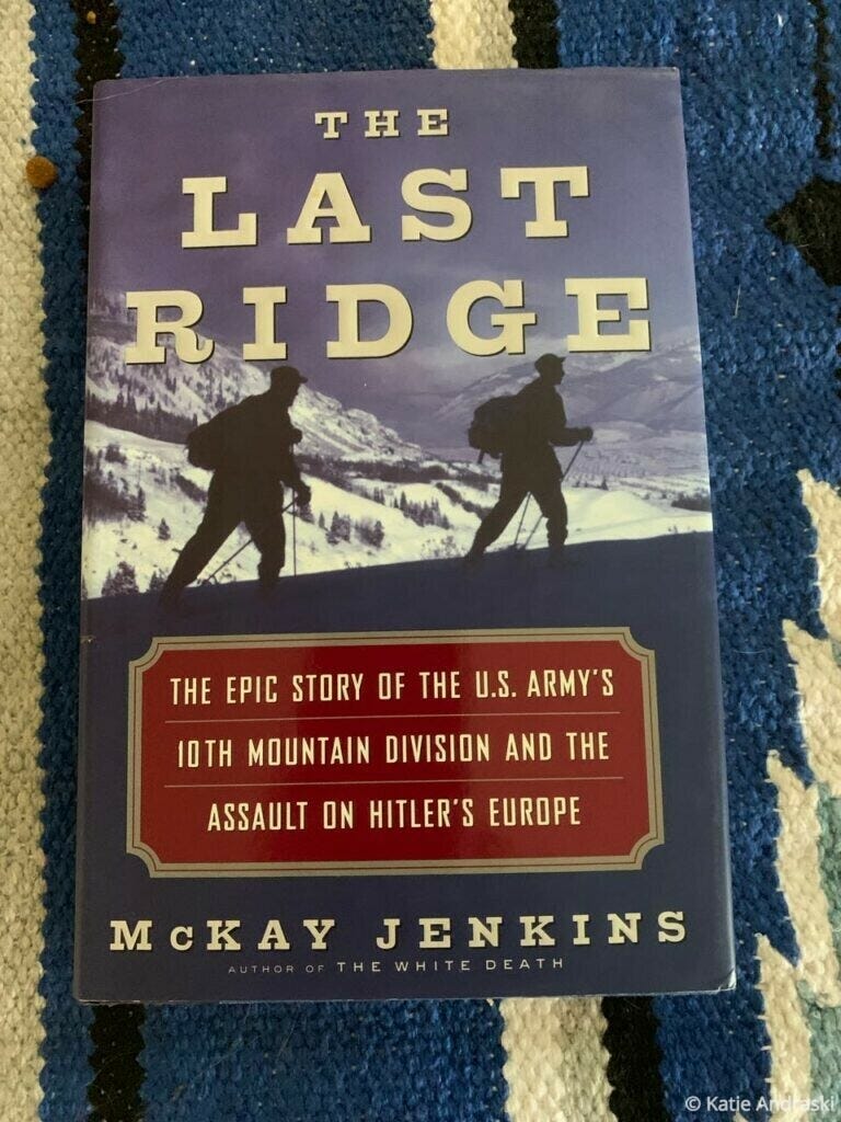 Book cover showing two soldiers in silhouette with a quote about the Red Army's WWII actions.