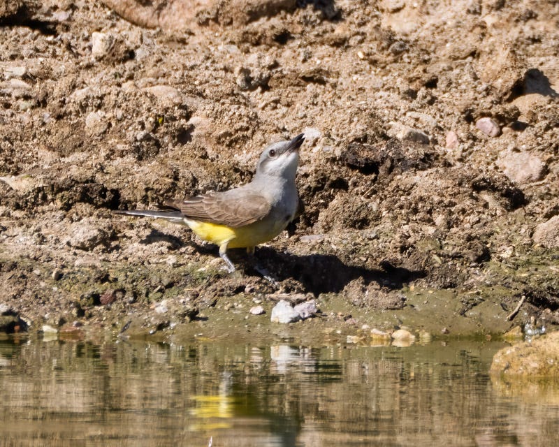 20260610-SantaRitas-224-Edit.jpg