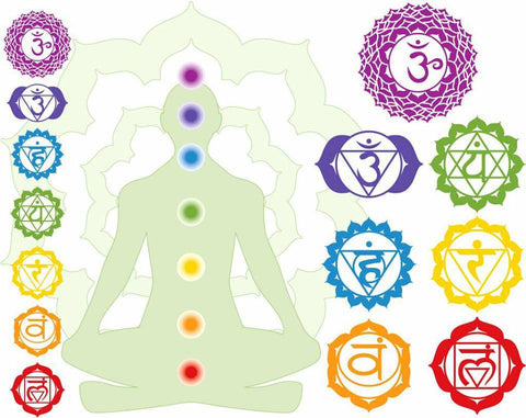 Seven Chakras – Devshoppe