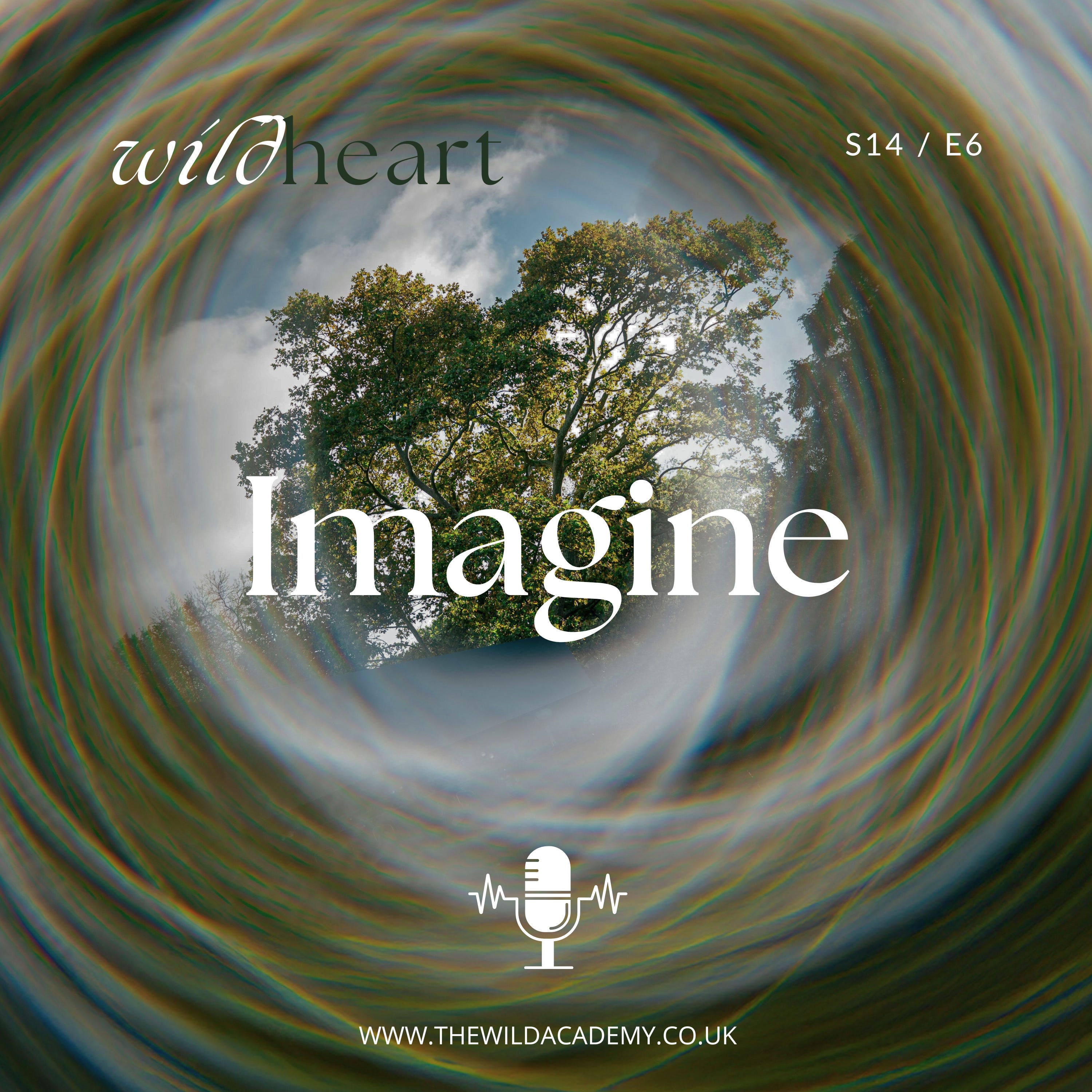 Imagine - by The Wild Academy - The Seed