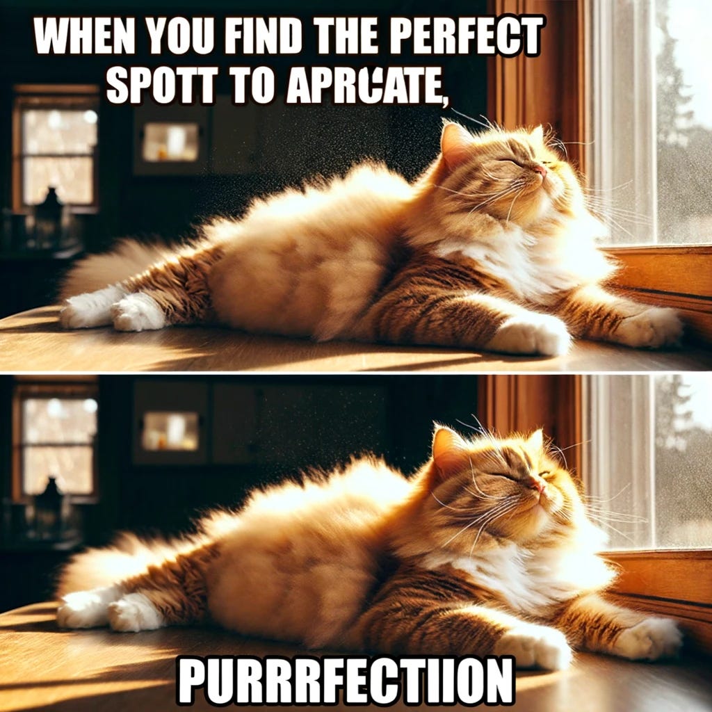 Create an image of a fluffy, orange tabby cat lying contentedly on a sunny window sill. The cat should appear relaxed and happy, basking in the sunlight with its eyes half-closed in bliss. The room is cozy, with light streaming in, highlighting the dust motes in the air. The meme text at the top of the image reads, "When you find the perfect spot to apricate," and at the bottom, it says, "Purrfection." The text is in a bold, comic sans font, white with a black outline for visibility. The overall vibe is warm, cozy, and humorous, capturing a universally relatable moment of simple joy.