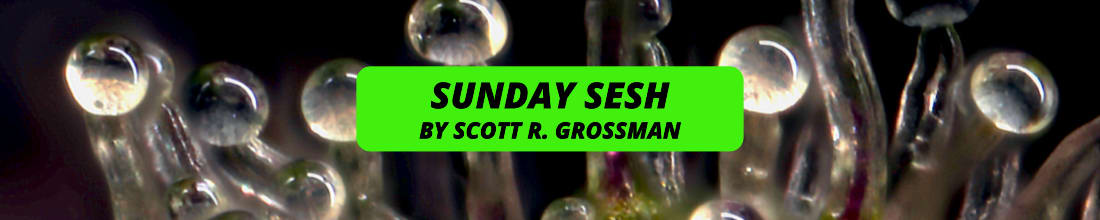 SUNDAY SESH by SCOTT R. GROSSMAN