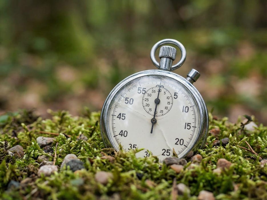 A stopwatch on moss

AI-generated content may be incorrect.
