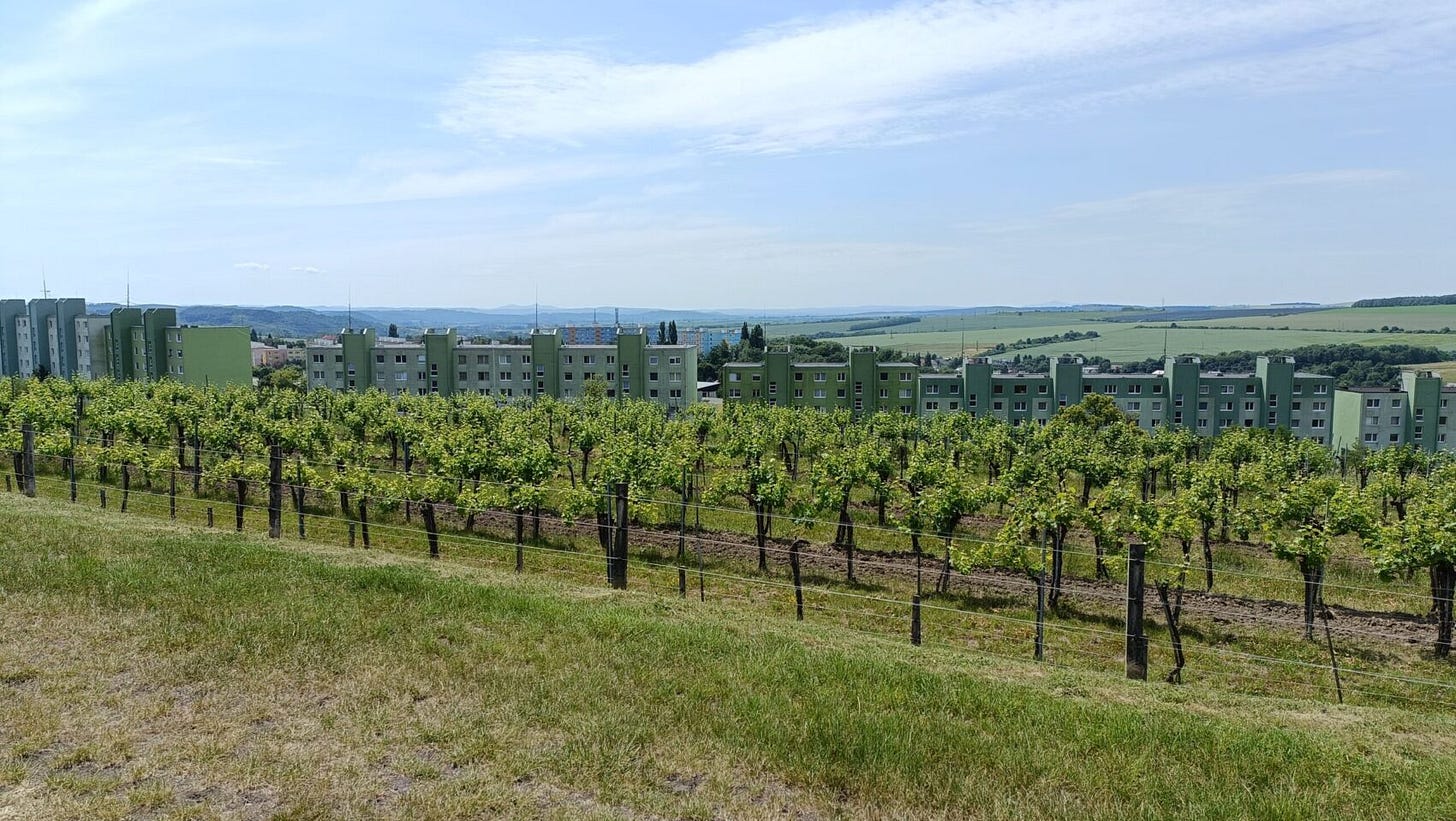 Domin & Kušický vineyards with the communist era tower blocks of Veľký Krtíš in the background, Central Slovakia. Photo (C) Simon J Woolf