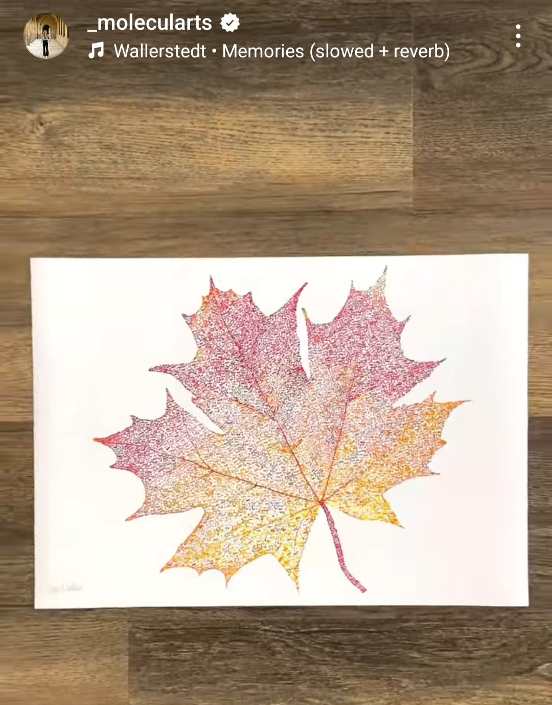 a leaf illustration by _molecularts