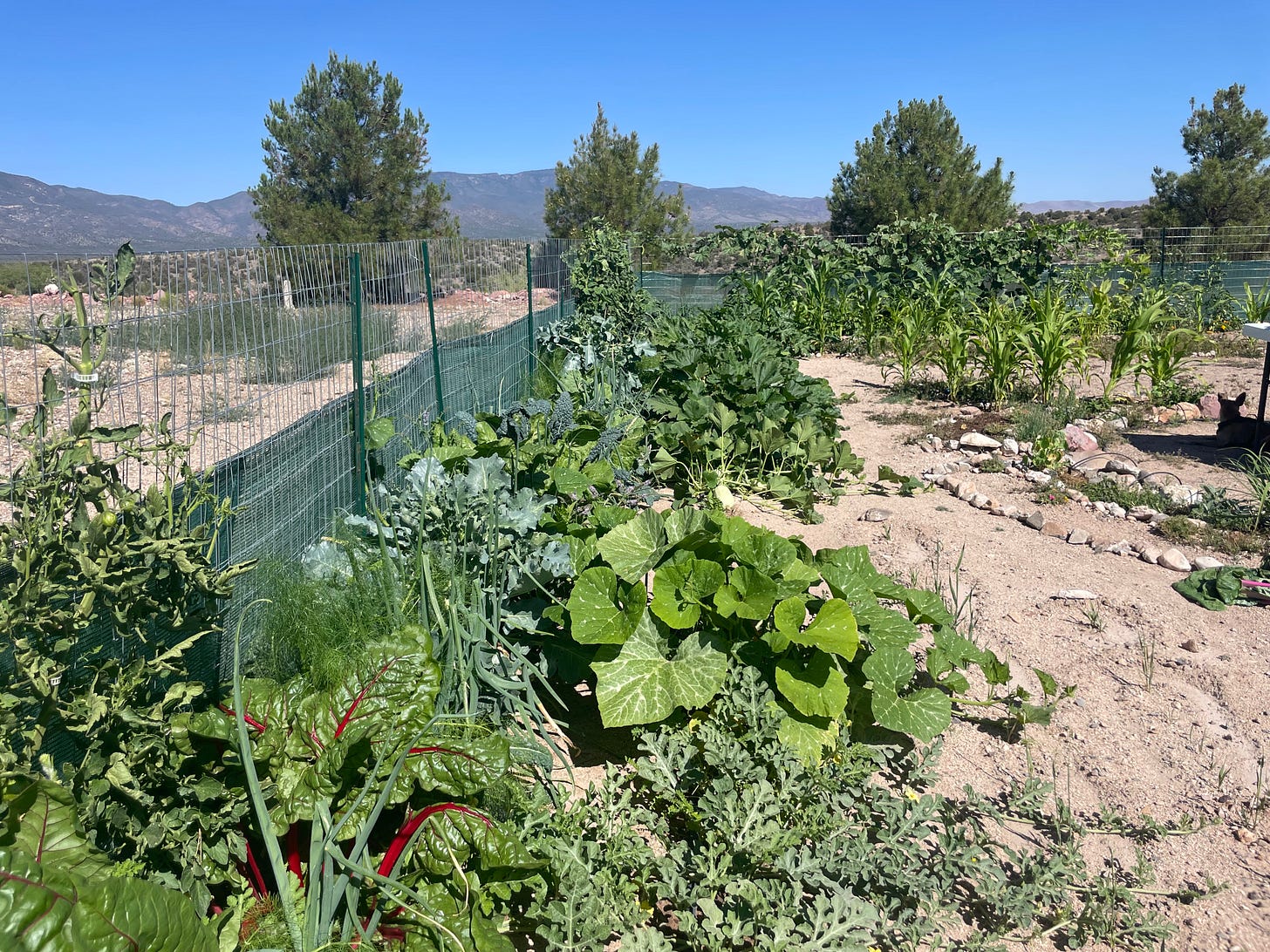 a fenced in vegetable garden with mountains in the distance