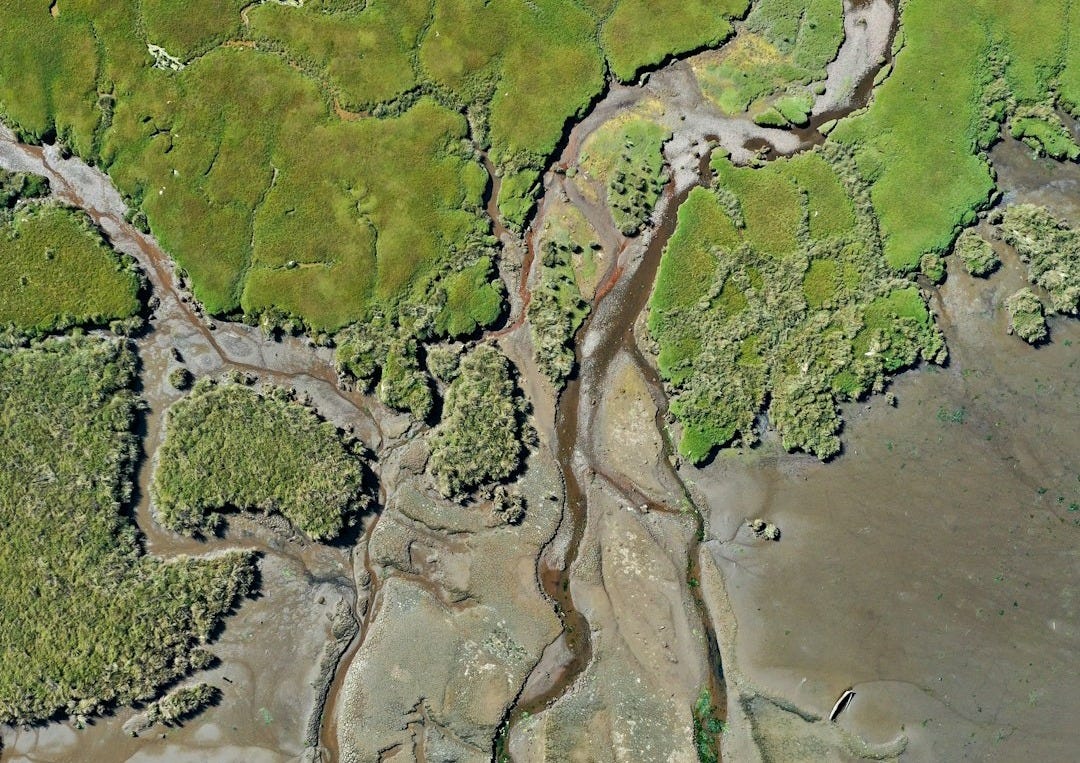 aerial view of green and brown land