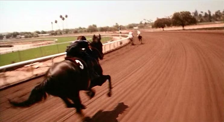 The Littlest Black Stallion