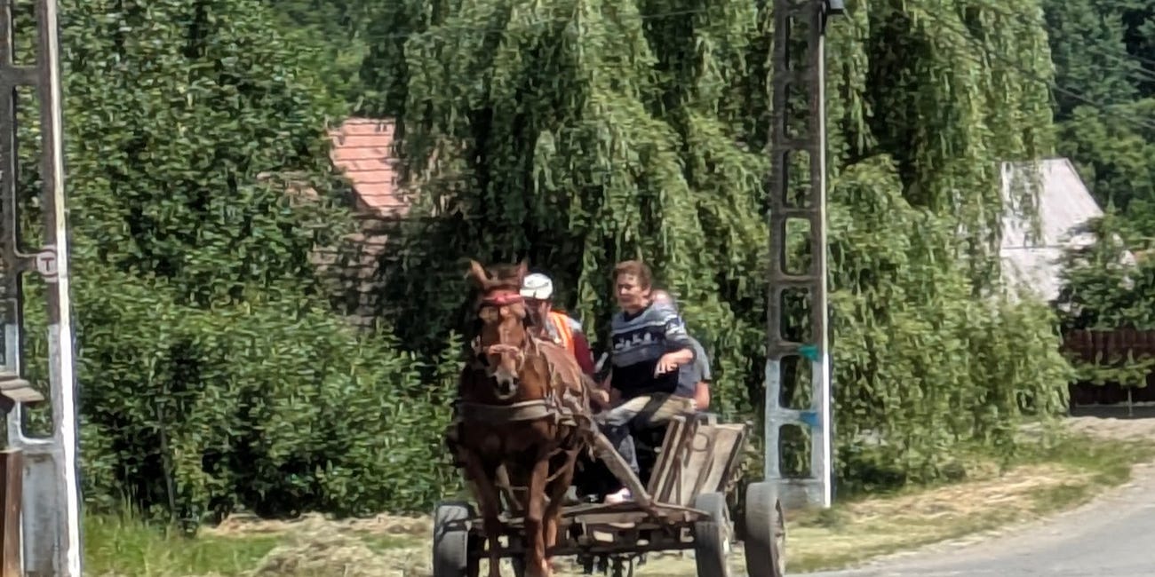 Forgotten in Bucharest: A True Story?